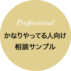 Professional かなりやってる人向け 相談サンプル